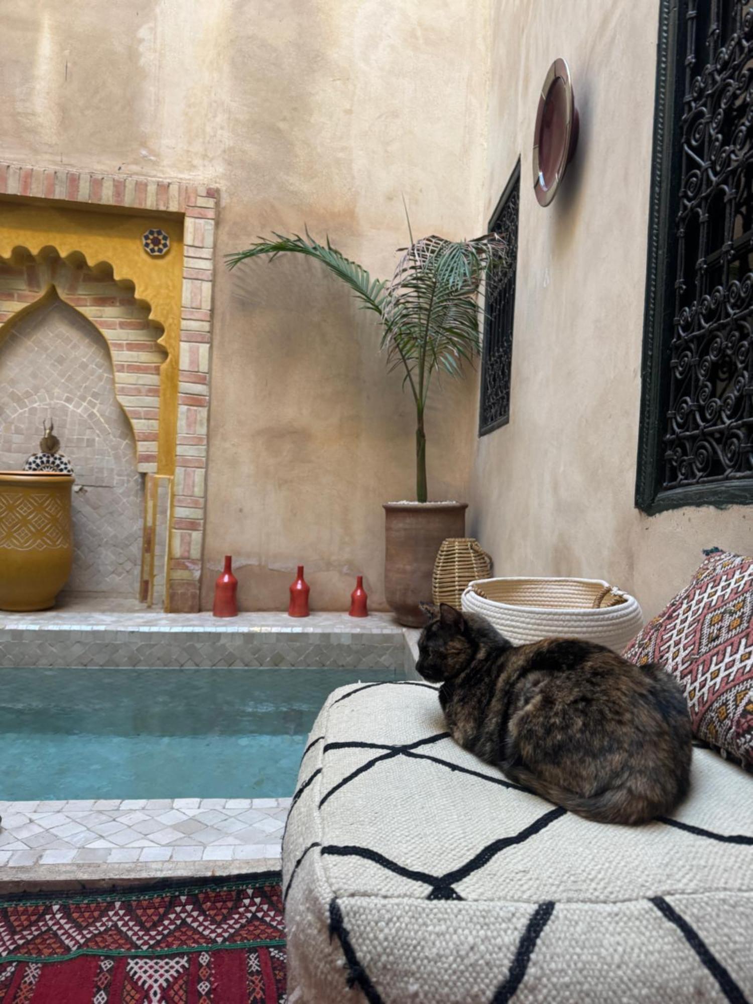 Riad Paquerette Marrakesz Zewnętrze zdjęcie